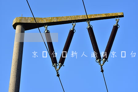 京東白條新人逾期 京東白條新人卷過期