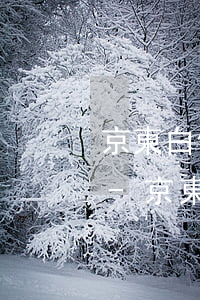 京東白條新用戶15元還款優(yōu)惠-京東白條新用戶15元還款優(yōu)惠是真的嗎