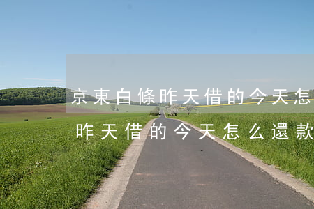 京東白條昨天借的今天怎么還款-京東白條昨天借的今天怎么還款了