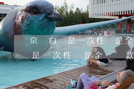 京東白條是一次性還是全額還款-京東白條是一次性還是全額還款好