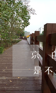 京東白條是不是只能銀行卡還款-京東白條是不是只能銀行卡還款了