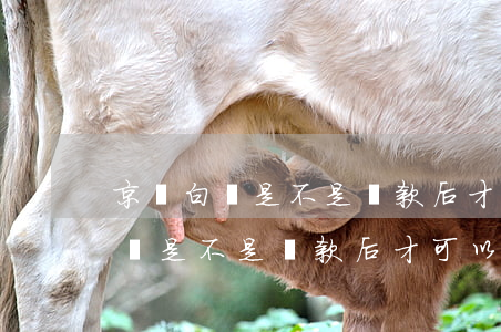 京東白條是不是還款后才可以注銷-京東白條是不是還款后才可以注銷賬號