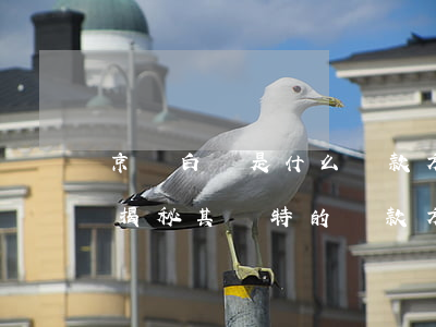 京東白條是什么還款方式，深入了解京東白條：揭秘其獨特的還款方式