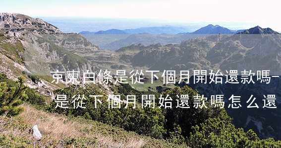 京東白條是從下個月開始還款嗎-京東白條是從下個月開始還款嗎怎么還
