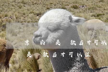 京東白條是還款后才可以注銷嗎-京東白條是還款后才可以注銷嗎安全嗎