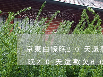 京東白條晚20天還款欠600-京東白條晚20天還款欠600元怎么辦