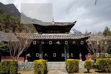 京東白條晚兩天還款怎么會這樣-京東白條晚兩天還款怎么會這樣呢