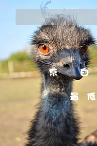 京東白條最低還款之后剩余怎么辦-京東白條最低還款之后剩余怎么辦理