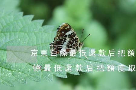 京東白條最低還款后把額度取消了-京東白條最低還款后把額度取消了怎么辦