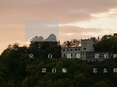 京東白條最低還款后的日服務費-白條最低還款日服務費怎么算