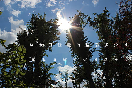 京東白條最低還款多少可以分期-京東白條最低還款多少可以分期還款