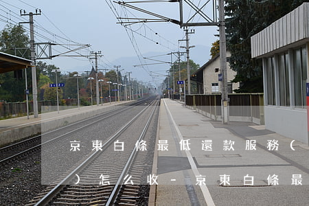 京東白條最低還款服務(wù)費(fèi)怎么收-京東白條最低還款服務(wù)費(fèi)怎么收取