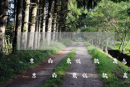 京東白條最低還款額度怎么恢復(fù)-京東白條最低還款額度怎么恢復(fù)正常