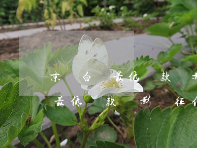 京東白條最低還款額影響征信嗎-京東白條最低還款額影響征信嗎