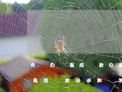 京東白條最后還款日逾期會怎么樣(京東白條最后還款日逾期會怎么樣)