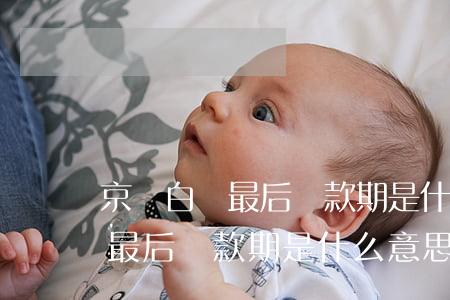 京東白條最后還款期是什么意思-京東白條最后還款期是什么意思啊