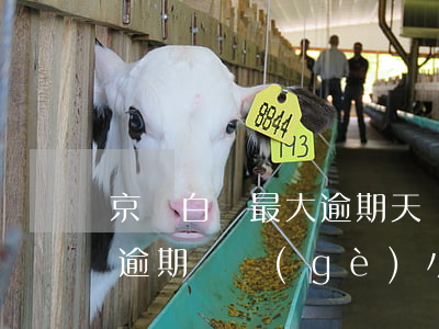 京東白條最大逾期天數(shù)(京東白條逾期幾個(gè)小時(shí))