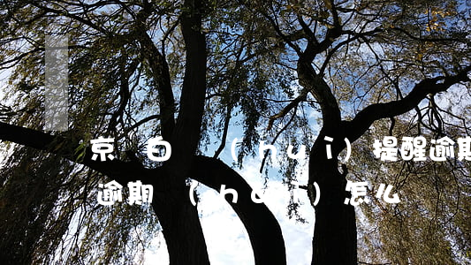 京東白條會(huì)提醒逾期嗎(京東白條逾期會(huì)怎么樣)