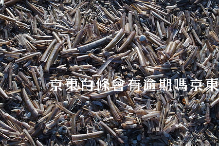 京東白條會有逾期嗎(京東白條會怎么樣)