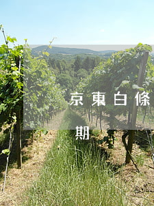 京東白條有分期免息嗎-京東白條有沒有分期