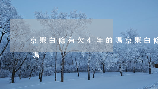 京東白條有欠4年的嗎(京東白條有欠4年的嗎)