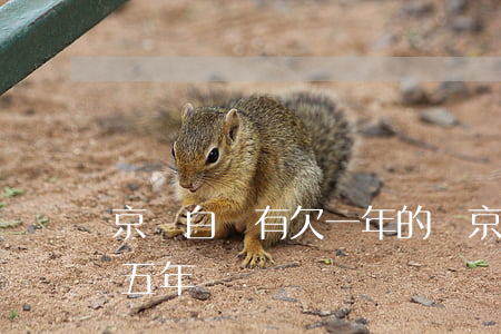 京東白條有欠一年的嗎(京東白條欠2000五年沒還)