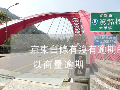京東白條有沒有逾期的（京東白條為什么不可以商量逾期）