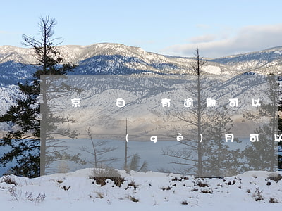 京東白條有逾期可以辦理信用卡嗎（京東逾期兩個(gè)月可以辦信用卡么）