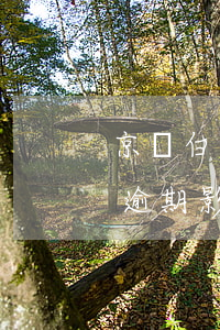 京東白條有逾期影響辦信用卡嗎（京東白條有逾期影響辦信用卡嗎）