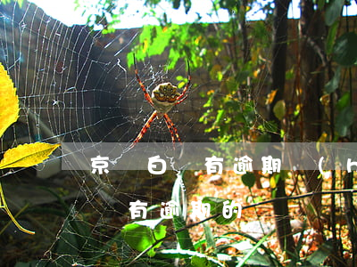 京東白條有逾期會(huì)怎么樣(京東白條有逾期的嗎)