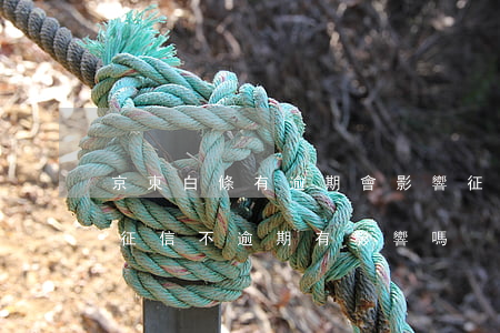 京東白條有逾期會影響征信嗎-京東白條上征信不逾期有影響嗎?