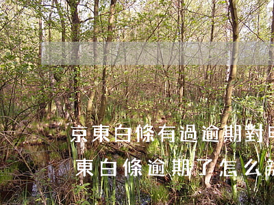 京東白條有過逾期 對申請信用卡有影響嗎（京東白條逾期了怎么辦信用卡）
