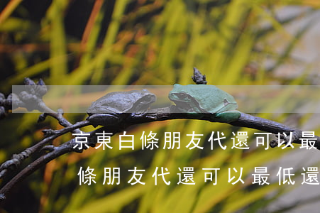 京東白條朋友代還可以最低還款嗎-京東白條朋友代還可以最低還款嗎安全嗎