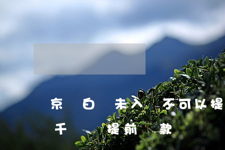 京東白條未入賬不可以提前還款-京東白條千萬別提前還款