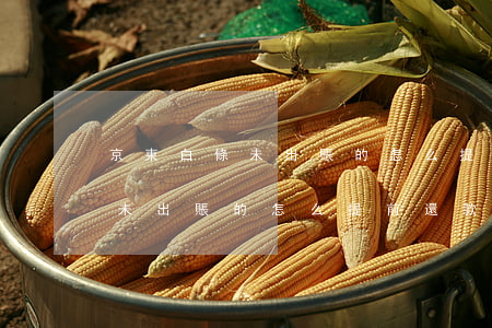 京東白條未出賬的怎么提前還款-京東白條未出賬的怎么提前還款白條分期