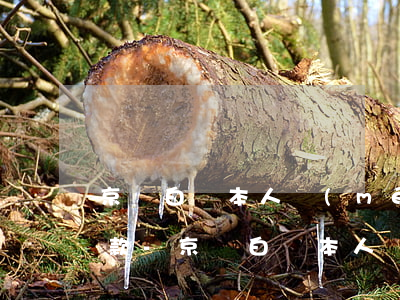 京東白條本人沒(méi)有銀行卡怎么還款-京東白條本人沒(méi)有銀行卡怎么還款呢