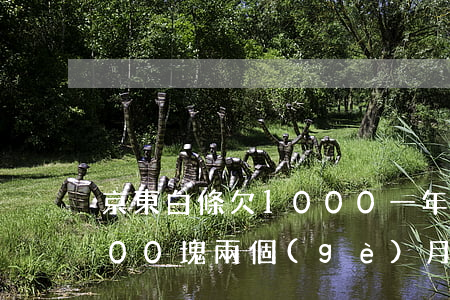 京東白條欠1000一年了(京東白條欠1000塊兩個(gè)月還沒會(huì)怎么樣)