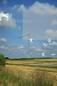京東白條欠1000兩個(gè)月(京東白條欠一百塊錢幾個(gè)月會(huì)怎么樣)