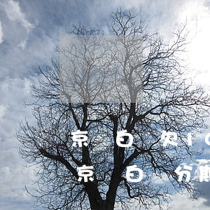 京東白條欠1000可以分期嗎(1000塊京東白條分期多少利息多少)