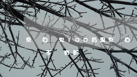 京東白條欠100后果(京東白條欠一百多不還會不會有影響)