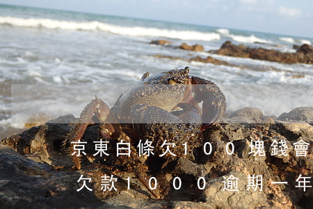 京東白條欠100塊錢會一直催嗎(京東白條欠款1000逾期一年會怎樣)