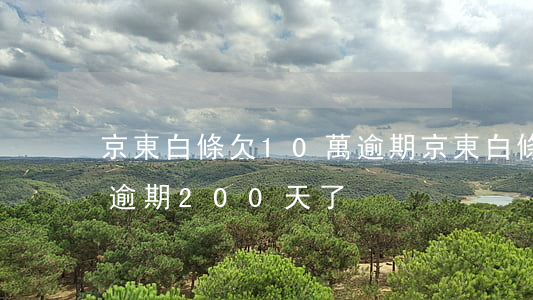 京東白條欠10萬逾期(京東白條欠8000逾期200天了)