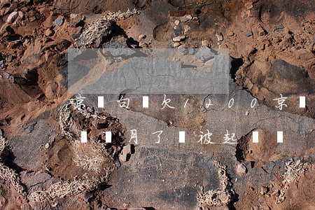京東白條欠1200(京東白條欠120逾期兩個月了會被起訴嗎?)
