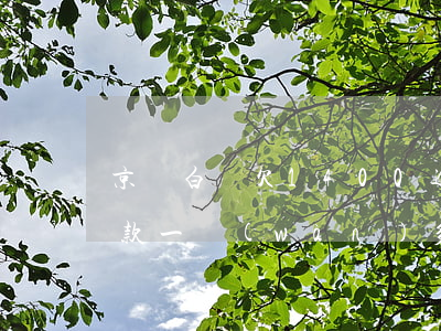 京東白條欠1400逾期三年多(京東白條欠款一萬(wàn)多逾期三年)