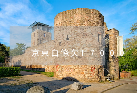 京東白條欠17000