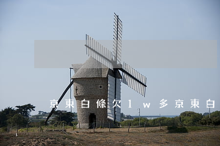 京東白條欠1w多(京東白條欠500多半年)