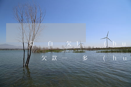 京東白條欠1萬會(huì)通緝嗎(京東白條欠款一萬多會(huì)被起訴坐牢嗎?)