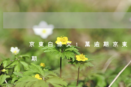 京東白條欠1萬逾期(京東白條欠款幾十元逾期)