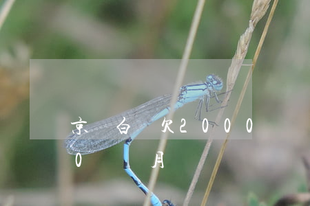 京東白條欠2000兩個月(京東白條欠500兩個月)