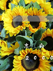 京東白條欠2000要傳喚我(京東白條欠款2000)